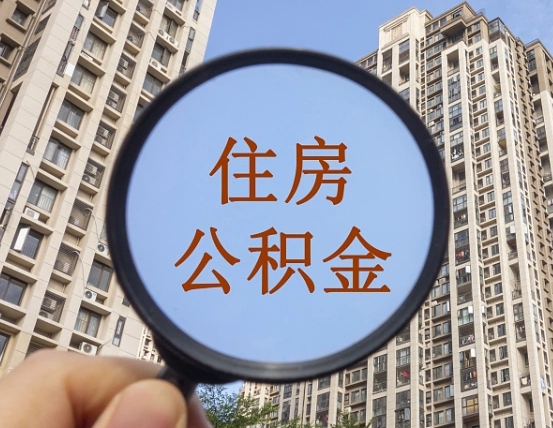巴音郭楞退休后查不到公积金明细了吗（退休后公积金查询不到原因）